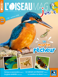 Couverture de l'OISEAU MAG JUNIOR n°32